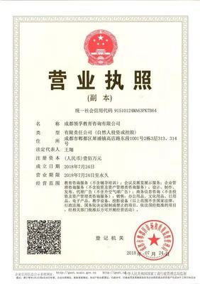 成都領孚教育咨詢 深耕教育規劃的專業力量，助你找到人生最優解